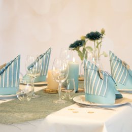 Borddkning Stvbl strib