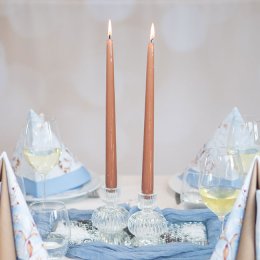 Borddkning Icy Branches