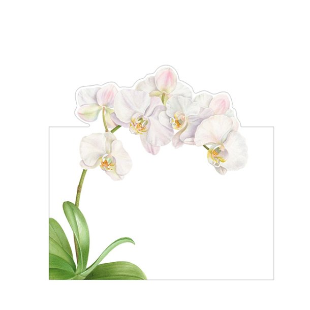 Bordkort fra Caspari, Hvid orkide - 8 stk.