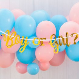Banner "Boy or Girl?" 1 stk.