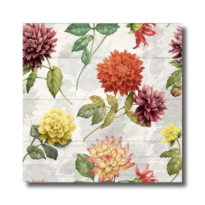 Ihr Servietter, Gemma, kaffestr. 20 stk.