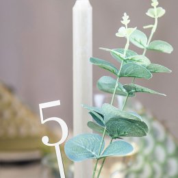 Borddkning Scallop Grn