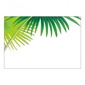 Bordkort fra Caspari - Palmer, turkis, 8 stk.