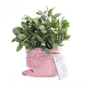 Lysfade/stager & vaser