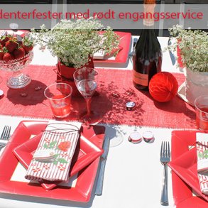 Tjekliste og tips til studenterfesten