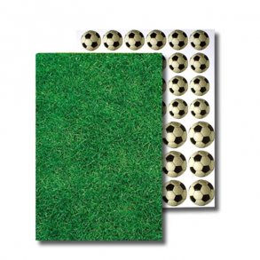 Papir A4, Grs og Fodbolde (2 sidet)