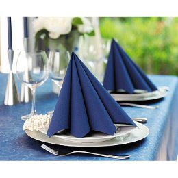 Duni Dunilin Servietter, Mrkebl, 45 stk. 40x40