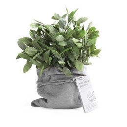 Papirpotteskjuler, gr, 1 stk. - den sidste!