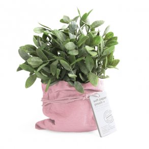 Papirpotteskjuler, gammelrosa, 1 stk.